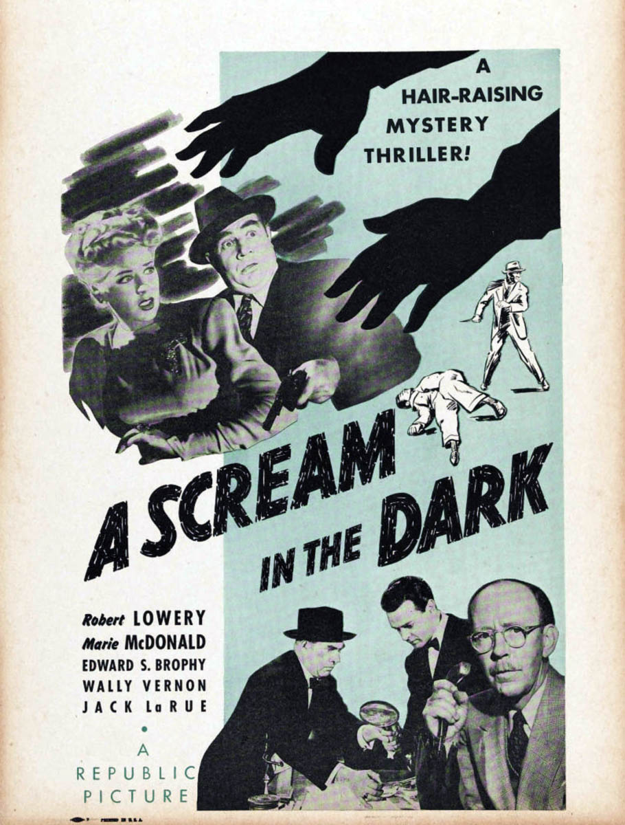 SCREAM IN THE DARK, A